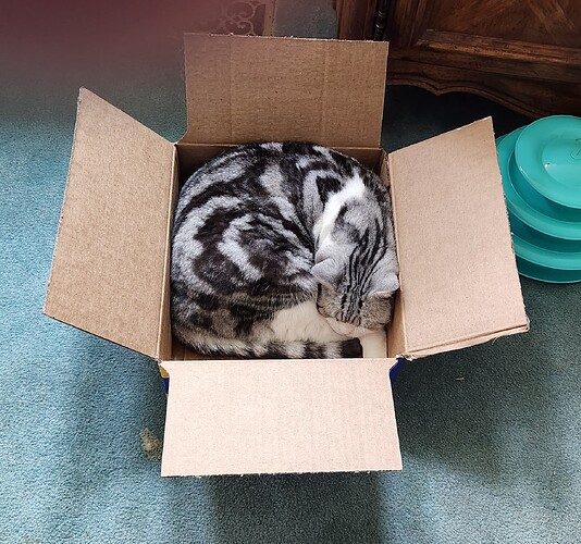 Jade In Small Box