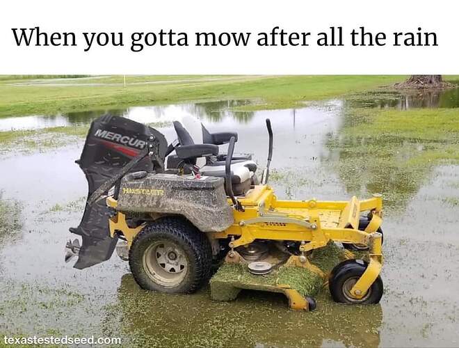 FB_IMG_1715893000421