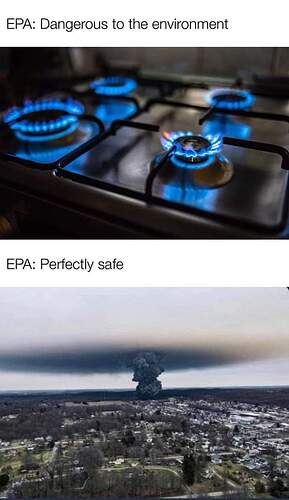 FB_IMG_1676689624518