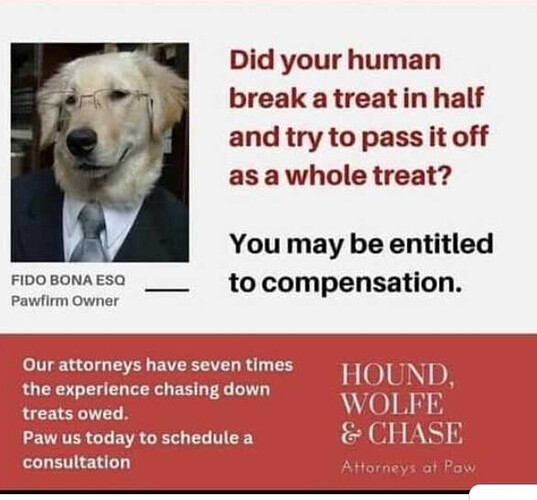 Screenshot 2026-02-22 2.44.05 PM