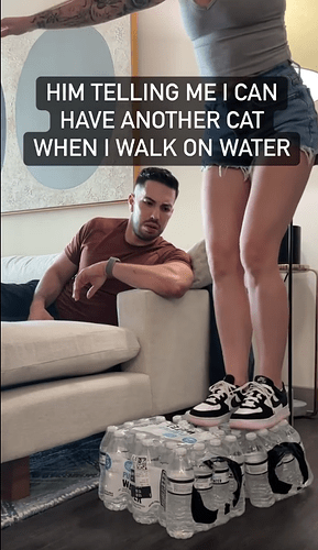 Screenshot 2025-05-28 4.36.16 AM