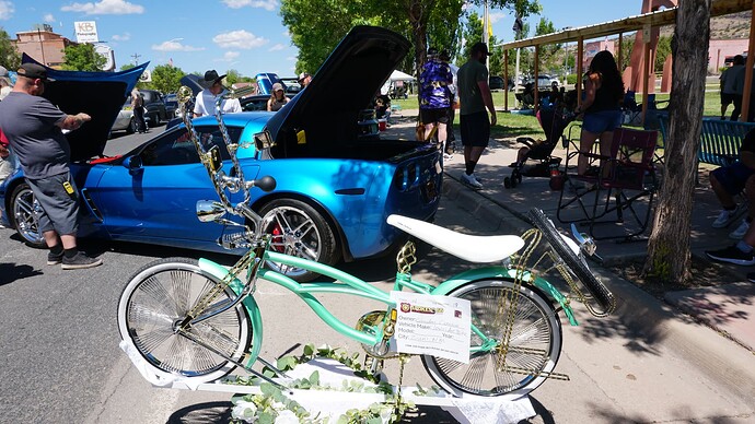 LowBike2