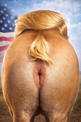 cb35a210-60bf-4c08-a548-cc1a276369c6