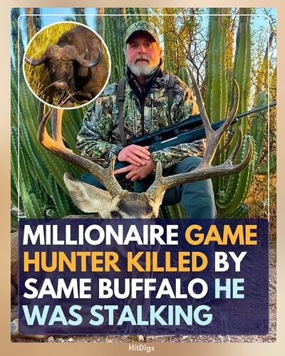 558344331_1237709608393627_8285237771677493862_n