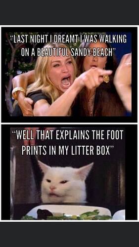 foot_prints_in_the_litterbox