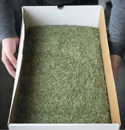 f4af95c2319542131726fe6ea36852d3