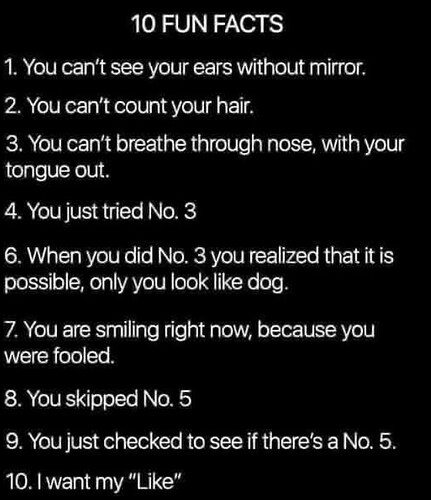 Screenshot 2026-02-05 6.02.55 PM