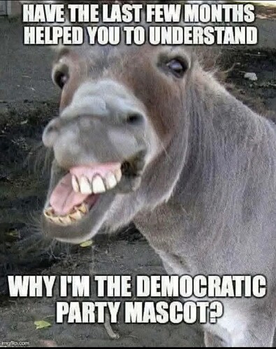 1000004572