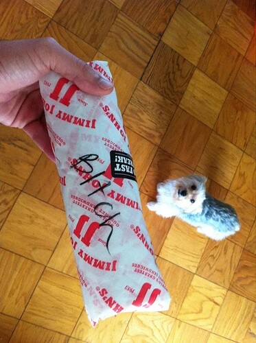 1774707544559575384636669292270