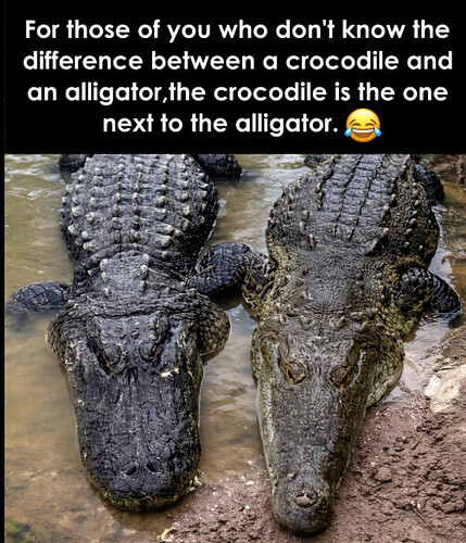 Screenshot 2026-03-24 5.37.11 AM