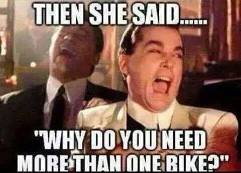 More_than_one_bike