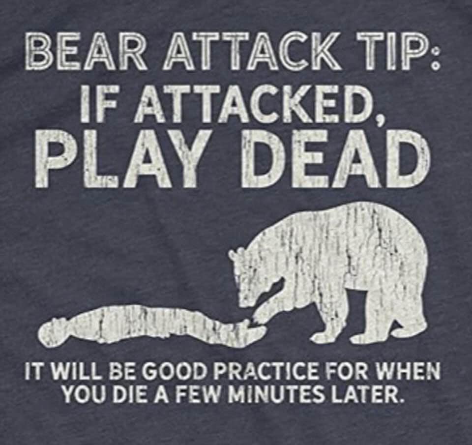 bear_attack
